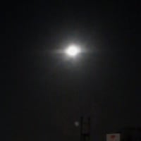 月が、奇麗ですね