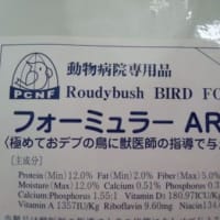 旅立ちから3ヶ月半
