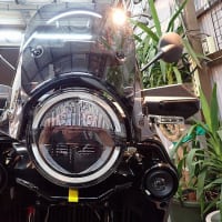 916kmのUSED Husqvarna NORDEN901が入荷しました。当社新車出荷車ワンオーナー！ダート歴無しです。