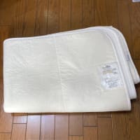 6/21　布団除湿シートセミダブル　新しいのはモリリンの、です。