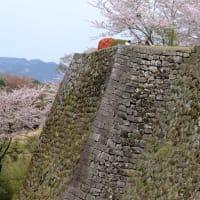 岡城 春　三の丸高石垣