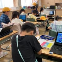 生活科　あさがおの観察✨