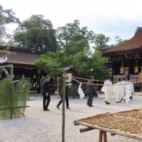 北野天満宮　夏越の大祓　土用干し　猫たちの茅の輪くぐり