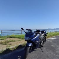 今朝の海