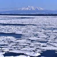 オホーツク海流氷　網走市　２　