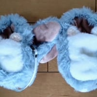 きゃりぐるみは2サイズ