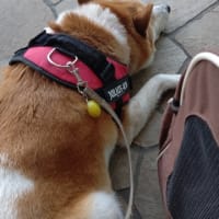 ９時に行って35番