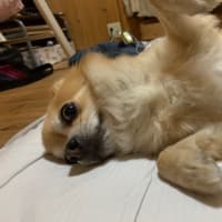 お久しぶりですm(._.)m