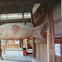 全ちゃん六月号