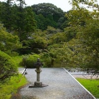 長岳寺 旧地蔵院に咲く秋の花々