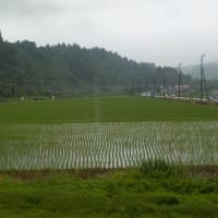 前に降ったのは何時だったかな