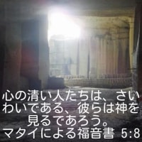 豆腐の角に頭をぶつけ