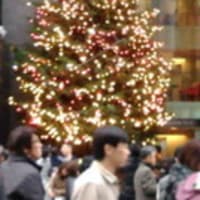 イルミネーション特集