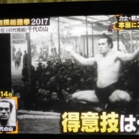 女だけの相撲大会（30回）私の郷里北海道福島町で・・・千代の山・千代の富士の二人の横綱誕生の相撲のまち