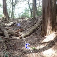 丸子城 駿河 その２ 　東海道を扼する規模が大きく城郭遺構がてんこ盛りの山城