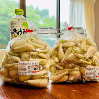 雨続き＊週末特売チラシ＊土曜市チラシ＊八丈島情報