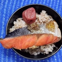 【03/29朝食】アメリカ産甘塩紅鮭、とりえず梅干とでっさっと済ませたんだね：D