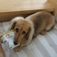 I love ヨーグルト