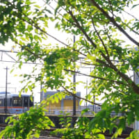 ５月２５日　好天の朝列車撮影　その２（福山レールエクスプレス・普電）