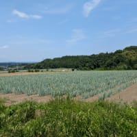 2025初夏の軽井沢旅行2日目（その3）