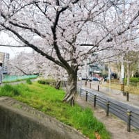 よっかめ