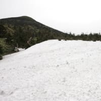 ２０２５年６月６日　北八甲田　仙人岱　地獄湯ノ沢のようす