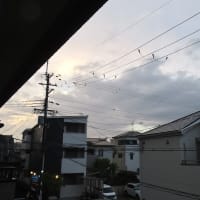 きょうも夕立ち