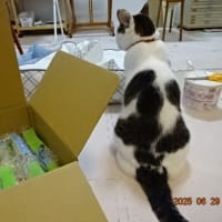 きんぎょ展　ART HOUSEに参加しました