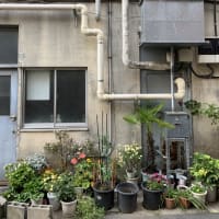日が伸びましたー