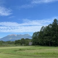 爽やかな風が入ってきます