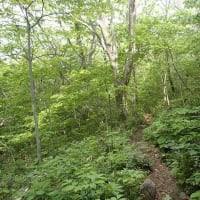 遥遥函館　函館山(観音コース)
