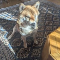 瞬く間に過ぎゆく時間；お正月