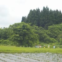 風景を見て、歩いて帰ります