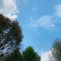 緑と深呼吸