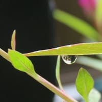 雨がやんで