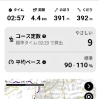 雨の裏山