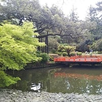 奈良　万葉植物園へ 2