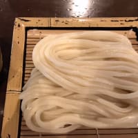 讃岐うどん　食べました！