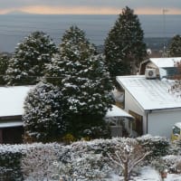 今年初めての雪景色でした
