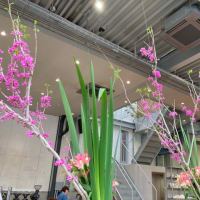 お花見🌸クルーズ