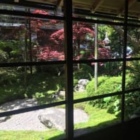 西教寺のかざぐるま展♪