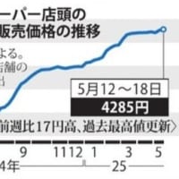 物価高騰と米価の異常－背景に何が？　自民党に差し出された馬に乗って毎日現れる《白馬の騎士》風情に、何ができるのか？