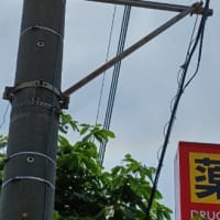 ハロ