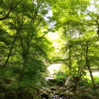🐵　環境と芸術の森2
