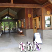 連れて行ってもらった　四季の郷公園　とても良かったです。
