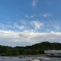 今日も強風で美しい空に～浜には『波の花』が