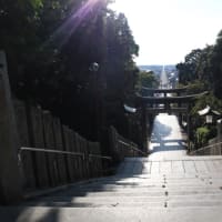 福岡の旅