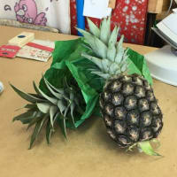 なんか せわしかった！