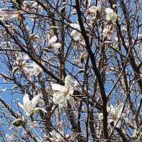 明日から４月