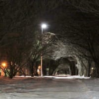 冬休み（２）　雪道ウォーキングの利点